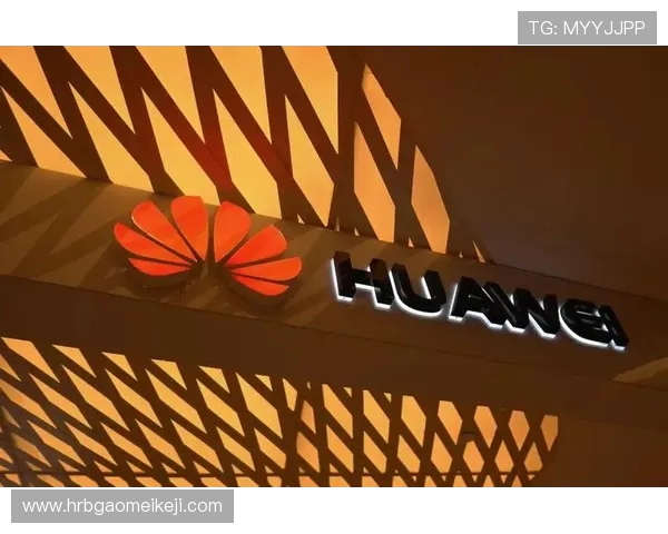 赖斯的崛起与挑战：解析其在国际政治中的影响力与未来发展方向