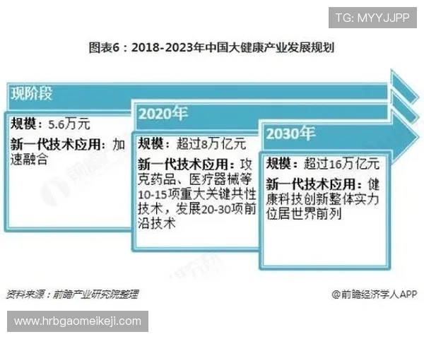 重庆篮球队的现状揭秘与未来展望全景分析