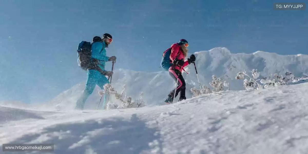 🎮 从装备到收藏，一站式满足你的体育情怀！